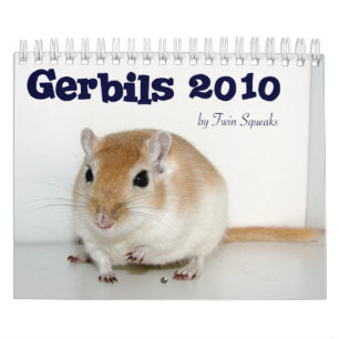 Calendrier Mural Gerbilles 2010
