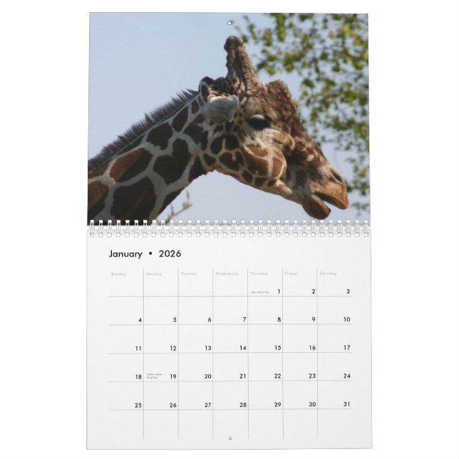 Calendrier Mural Girafe 2010 (Jan 2026)