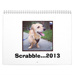 Calendrier Mural Grattez… 2013