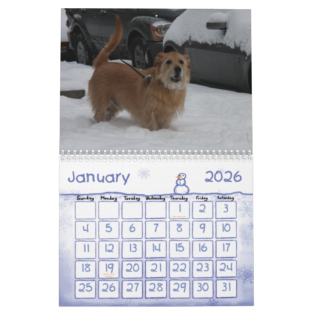 Calendrier Mural Grattez… 2013 (Jan 2026)