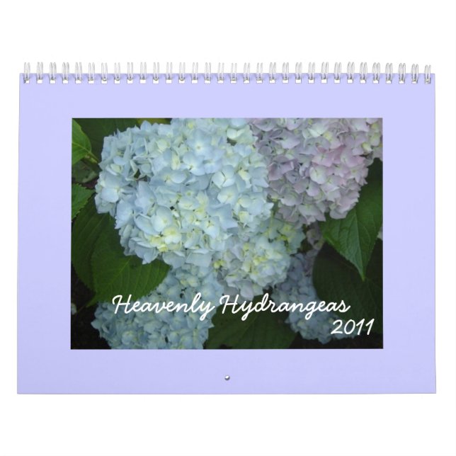 Calendrier Mural Heavenly Hydrangeas - 2011 (Protection)