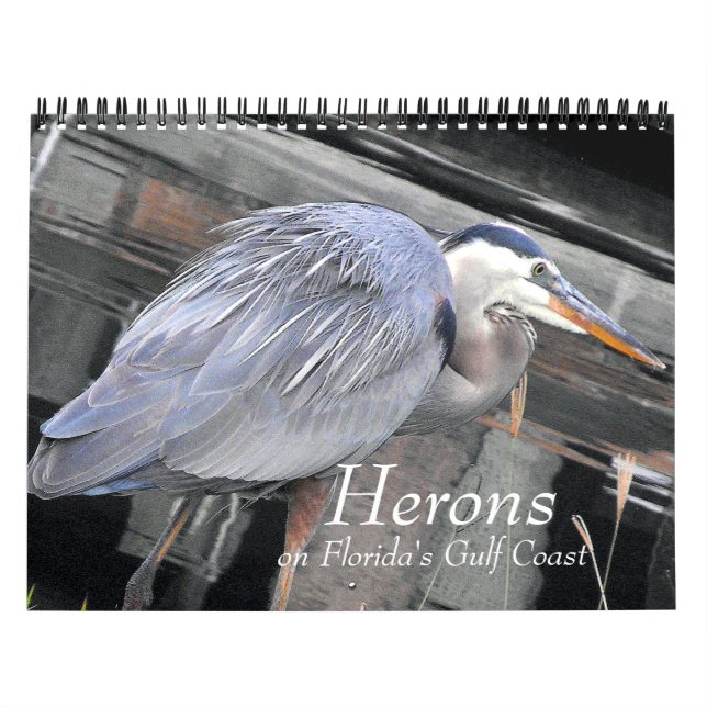 Calendrier Mural Herons grands et petits (Protection)
