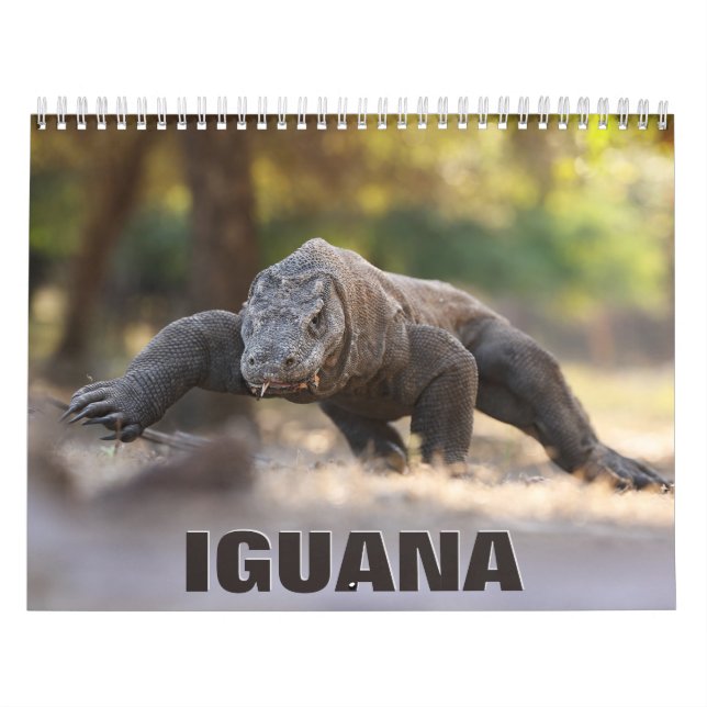 Calendrier mural Iguana (Protection)