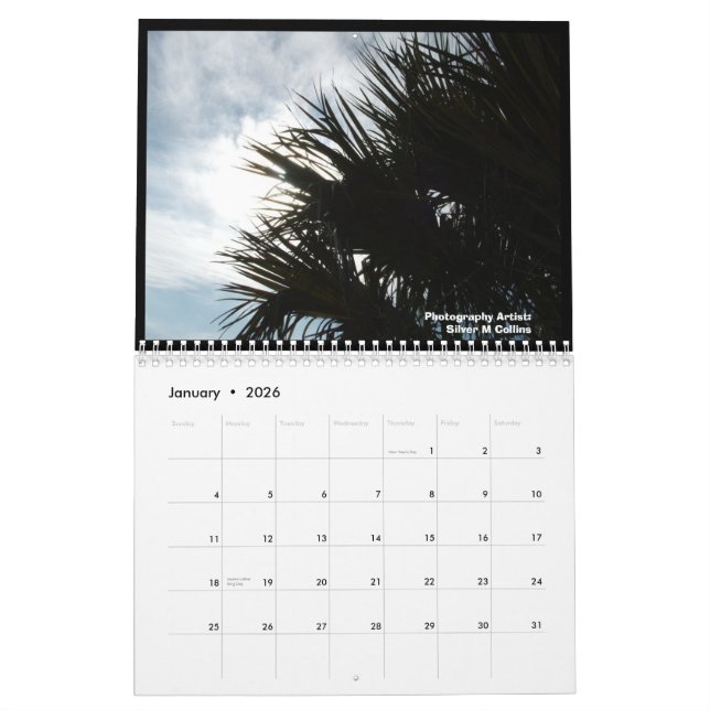 Calendrier Mural IM000977, paysages d'île d'Edisto, la Caroline du (Jan 2026)