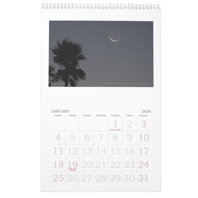 Calendrier Mural images des everglades, floride (Jan 2026)
