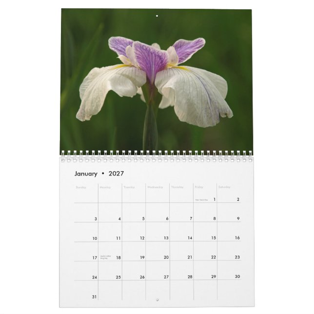 Calendrier Mural Iris 2009 (Jan 2027)