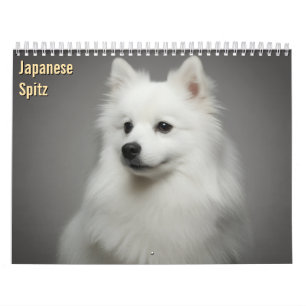 Calendrier mural Japanese Spitz 2027