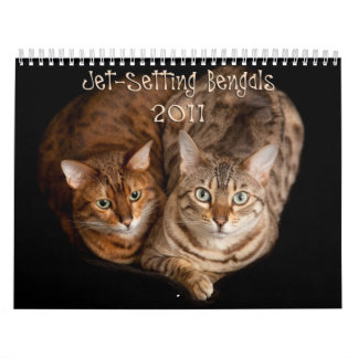 Calendrier Mural Jet plaçant Bengals