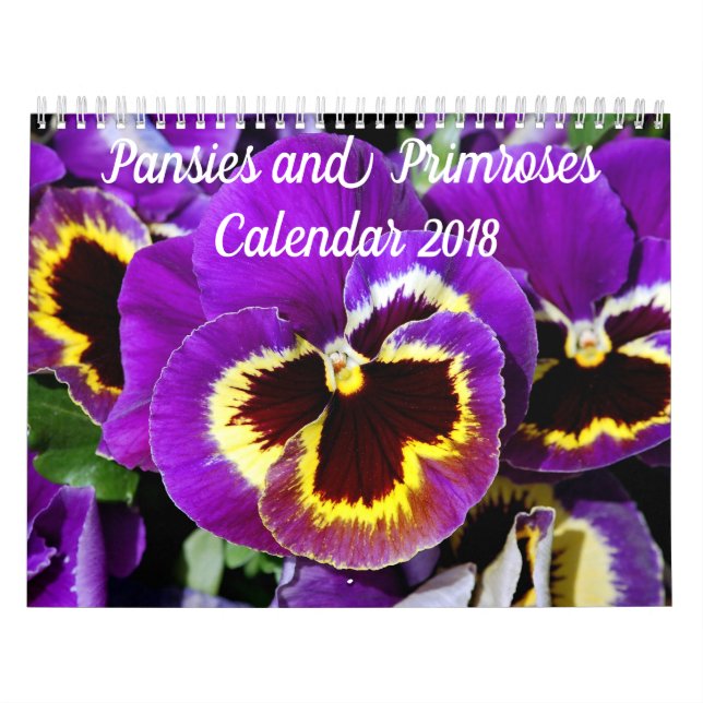 Calendrier Mural Jolies culottes et primroses (Protection)