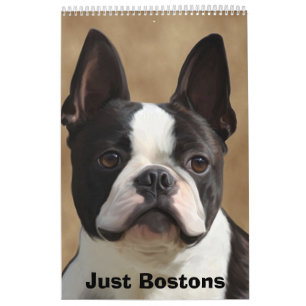Calendrier Mural Juste Bostons