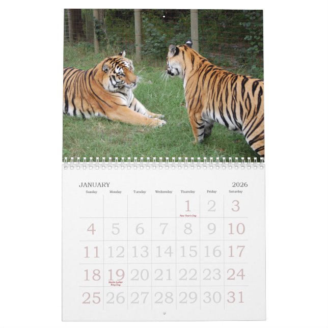Calendrier Mural khan-n-china010, Shere Khan et la Chine Dollthe B… (Jan 2026)