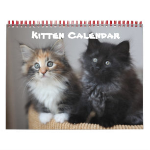 Calendrier Mural Kitten Cat Cats Baby Cub Accueil Destinée Destin