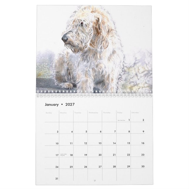 Calendrier Mural Labradoodles (Jan 2027)