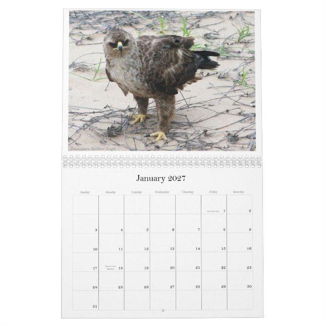 Calendrier Mural L'avifaune africaine classent (Jan 2027)