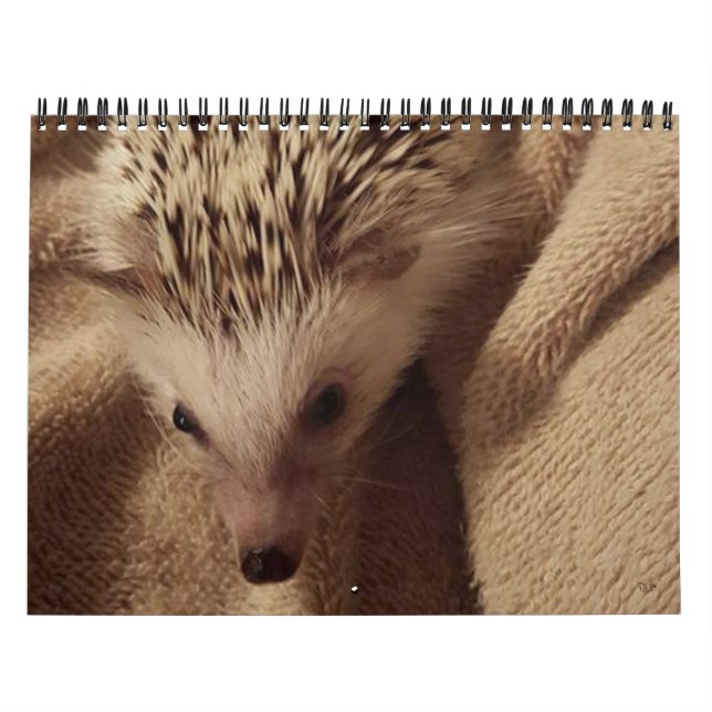 Calendrier Mural Le Dakota, truc et amis ! (Protection)