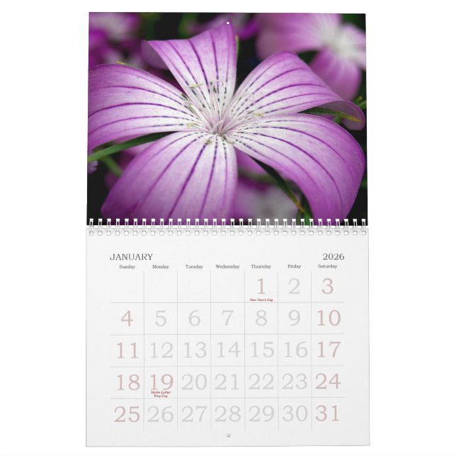 Calendrier Mural Le jardin botanique de New York (Jan 2026)
