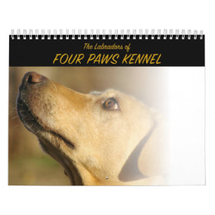 Calendrier Mural Le Labradors du chenil de quatre pattes
