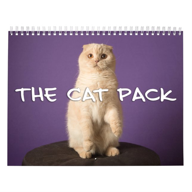 Calendrier Mural Le paquet de chat (Protection)