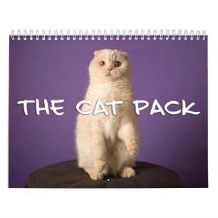 Calendrier Mural Le paquet de chat