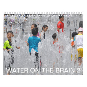 Calendrier Mural L'eau sur le cerveau 2