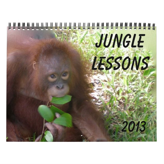 Calendrier Mural Leçons de la jungle Faune Orangutans (Protection)