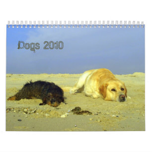 Calendrier Mural Les chiens classent pour 2010