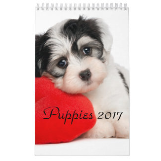 Calendrier Mural Les chiots classent 2017