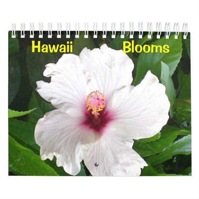 Calendrier Mural Les fleurs d'Hawaï (Protection)
