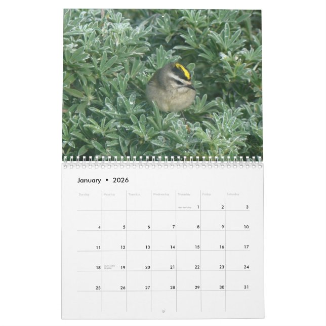 Calendrier Mural Les oiseaux classent 2012 (Jan 2026)