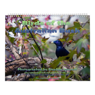 Calendrier Mural Les oiseaux de l'Australien Bush