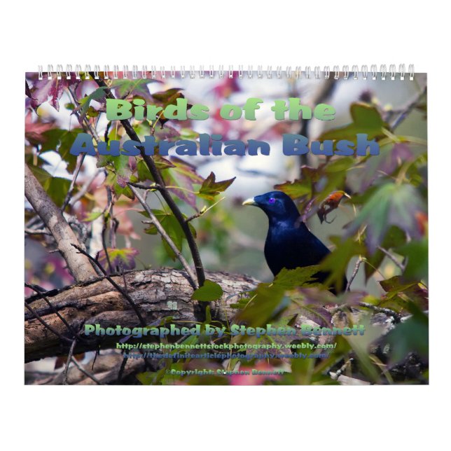Calendrier Mural Les oiseaux de l'Australien Bush (Protection)