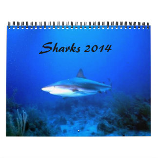 Calendrier Mural Les requins classent 2014