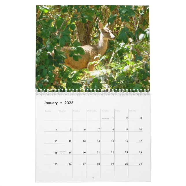 Calendrier Mural L'Idaho (Jan 2026)