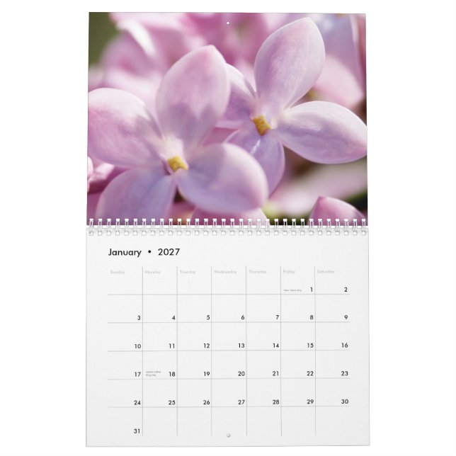 Calendrier Mural Lilas 2013 (12 mois) (Jan 2027)