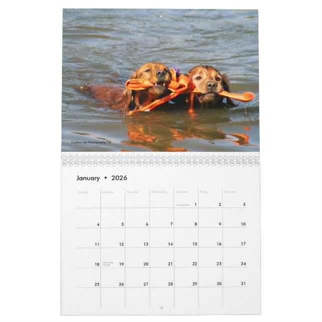 Calendrier Mural Loki (Jan 2026)