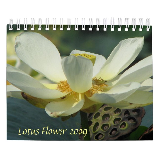 Calendrier Mural Lotus Flower 2009 (Protection)