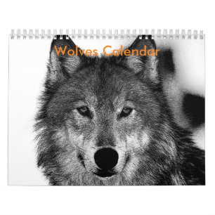 Calendrier Mural Loups