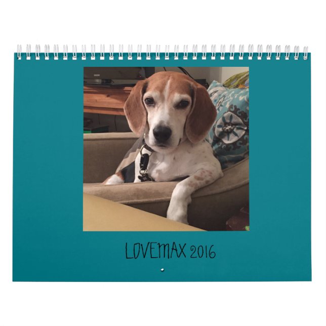 CALENDRIER MURAL LOVEMAX 2016 (Protection)