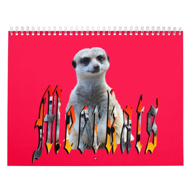 Calendrier Mural Meerkat Avec Style USA Holidays 2019, (Protection)
