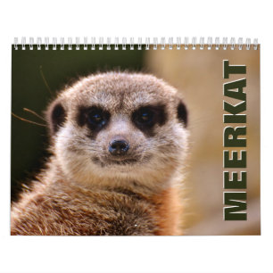 Calendrier mural Meerkats 2022