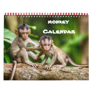 Calendrier Mural Monkey Primate Vine Bienvenue Accueil Destiny Dest