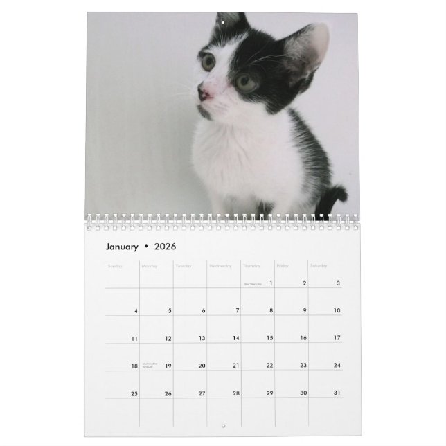 Calendrier Mural Mooki et Kiko (Jan 2026)