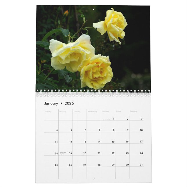 Calendrier Mural Mur Callendar des ROSES 2013 (Jan 2026)