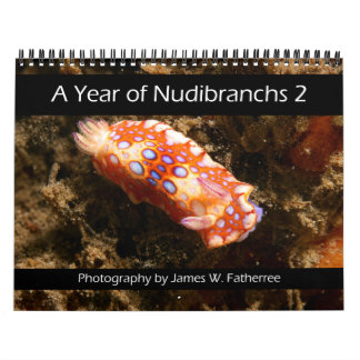 Calendrier mural Nudibranche 2 par J. Fatherree