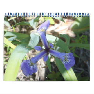 Calendrier Mural NY à travers les photos