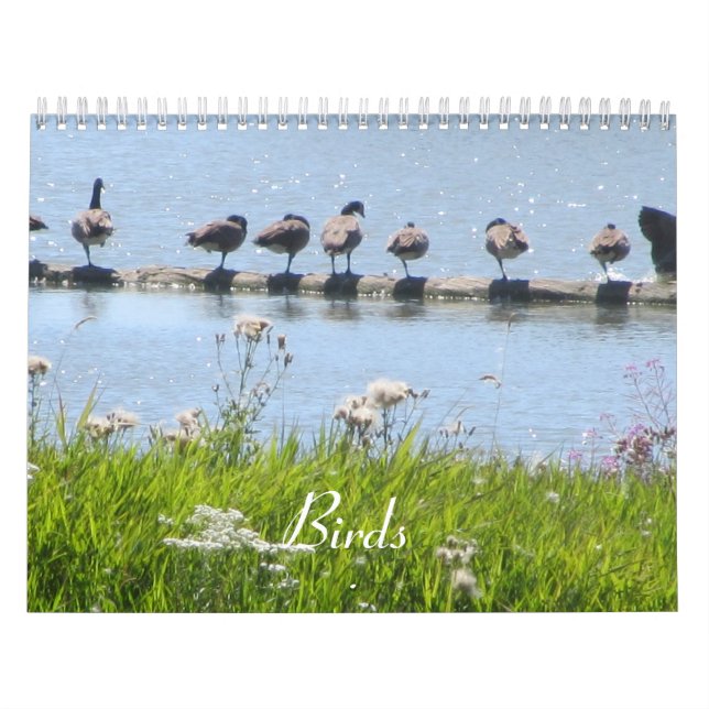 Calendrier Mural Oiseaux (Protection)