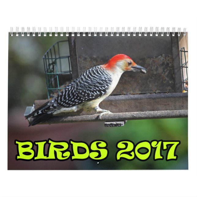 Calendrier Mural Oiseaux 2017 (Protection)