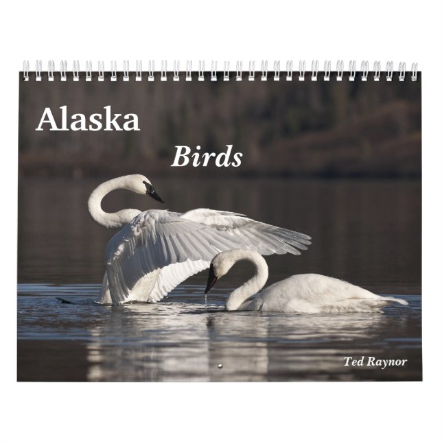 Calendrier Mural Oiseaux de l'Alaska (Protection)