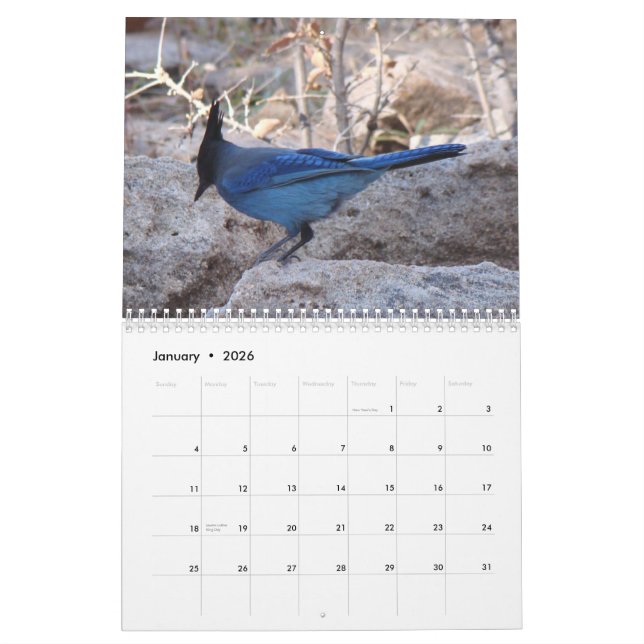 Calendrier Mural Oiseaux de l'Amérique du Nord (Jan 2026)