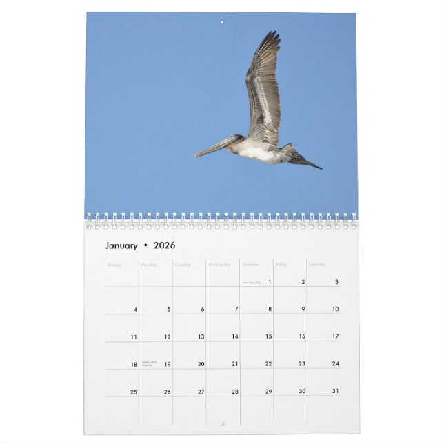 Calendrier Mural Oiseaux du nord-ouest Pacifiques (Jan 2026)